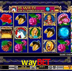 A Emoção da Loteria na waybet: Uma Chance de Mudança de Vida